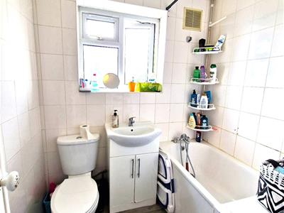 Picture 7